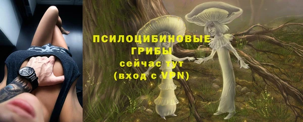 марки nbome Козловка