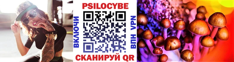 Купить где  Якутск  Псилоцибиновые грибы Cubensis 